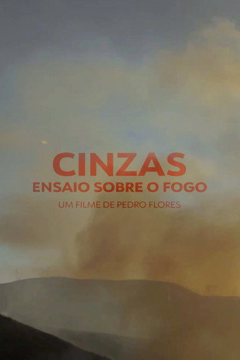 Movie poster for Ashes, An Essay on Fire (2012)