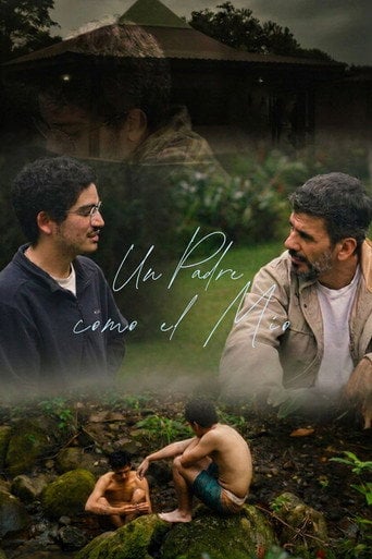Movie poster for A father like mine