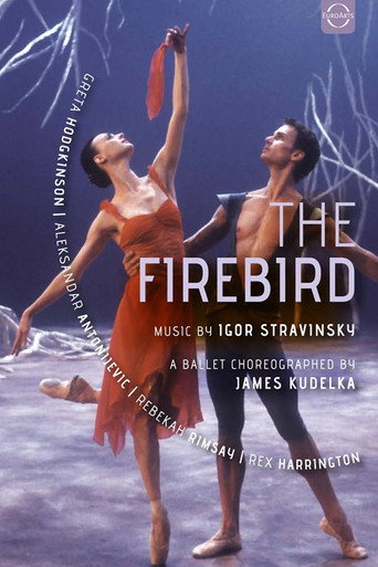 Movie poster for The Firebird (2003)