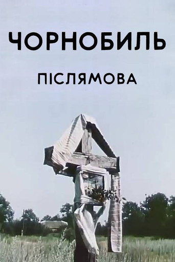Movie poster for Chornobyl. Epilogue (1996)