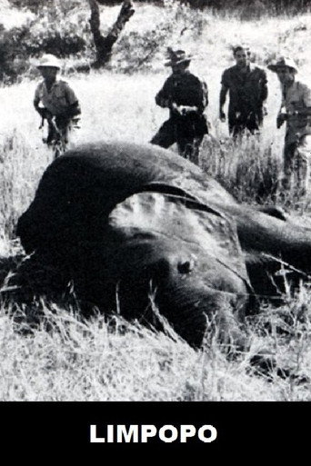 Movie poster for Limpopo (1970)