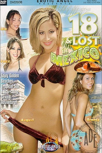 Movie poster for 18 and Lost in Mexico (2003)