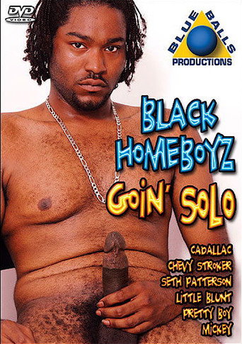 Movie poster for Black Homeboyz Goin Solo (2010)