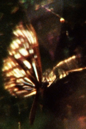 Movie poster for A Flea’s Skin Would Be Too Big For You (2013)