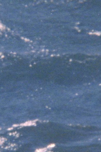 The possibility of being sea poster