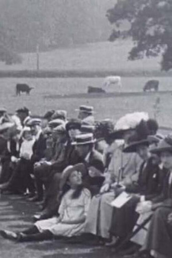 Movie poster for Horsham Cricket Week and Grand Carnival (1913)
