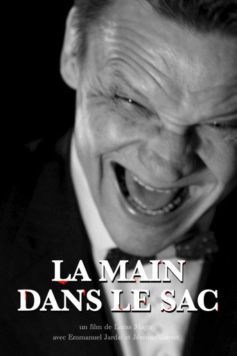 Movie poster for La Main dans le sac (2024)