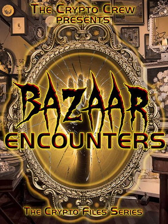 Movie poster for Bazaar Encounters (2019)