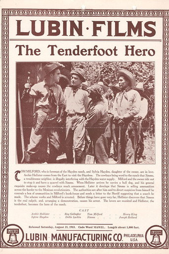 Movie poster for The Tenderfoot Hero (1913)