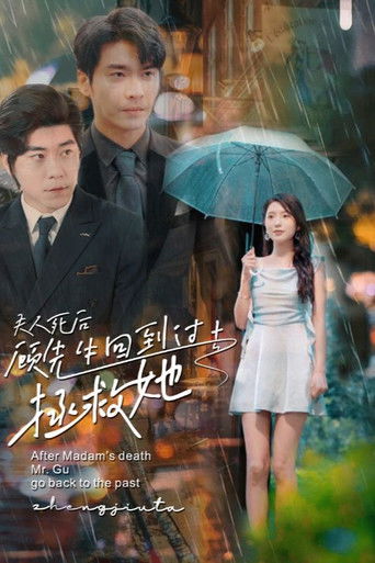 After Madam's Death, Mr. Gu Go Back to the Past poster