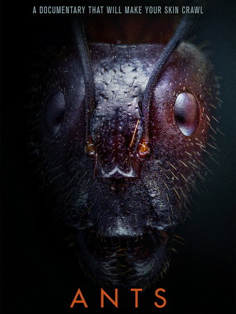 Movie poster for Ants (2023)