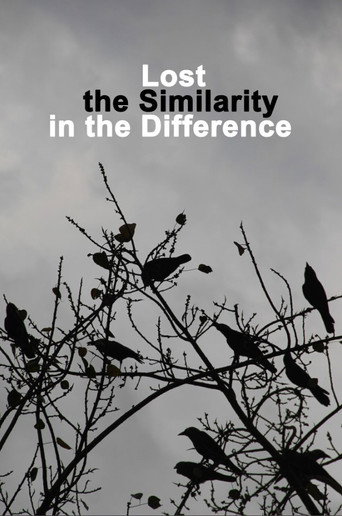Movie poster for Lost the Similarity in the Difference (2020)