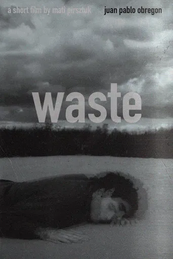 Movie poster for Waste