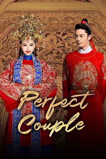 Series poster for Perfect Couple (2014)