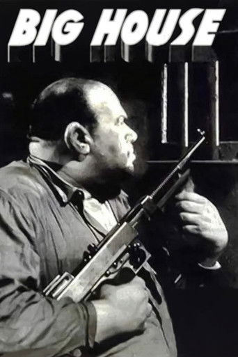 The Big House poster