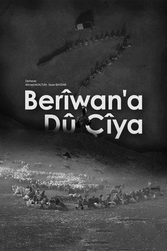 Movie poster for Berîwan’a Dû Çîya
