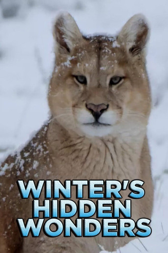 Series poster for Winter's Hidden Wonders (2020)