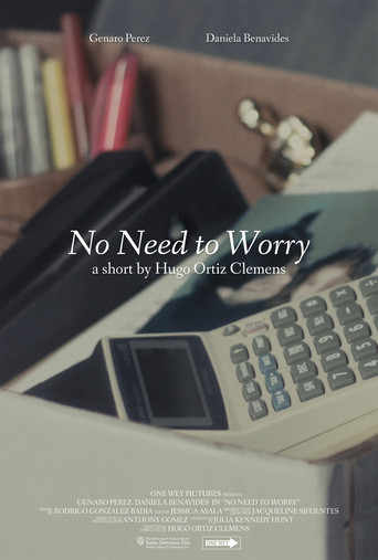 Movie poster for No Need to Worry (2022)
