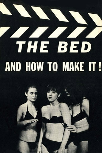 Movie poster for The Bed and How to Make It! (1966)