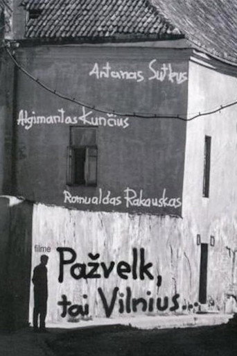 Movie poster for Look, it's Vilnius (2006)