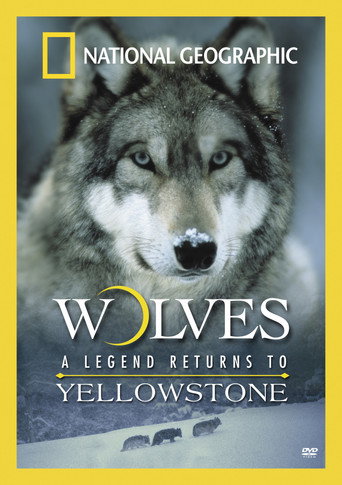 Movie poster for Wolves: A Legend Returns to Yellowstone (2000)