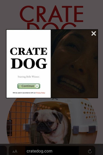 Movie poster for Crate Dog (2024)