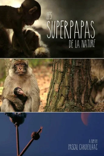 Movie poster for Nature's Superdads (2015)