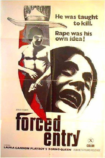 Movie poster for Forced Entry (1973)
