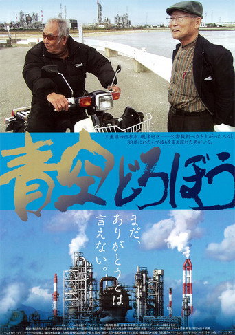 Movie poster for Thief of Blues Skies (2010)
