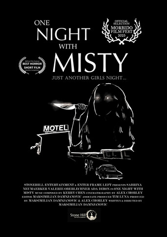 One Night with Misty poster