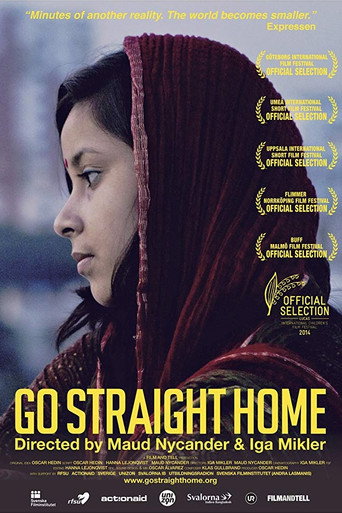 Movie poster for Go Straight Home (2013)