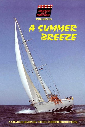 Movie poster for A Summer Breeze (1999)
