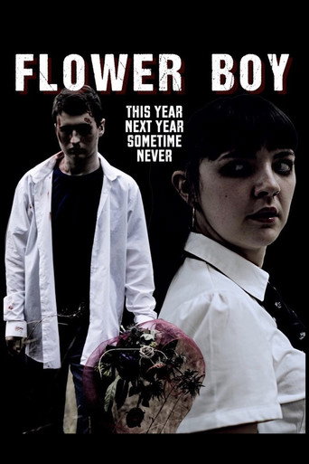 Movie poster for Flower Boy (2019)