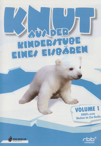 Movie poster for Knut - Aus der Kinderstube eines Eisbären (2007)