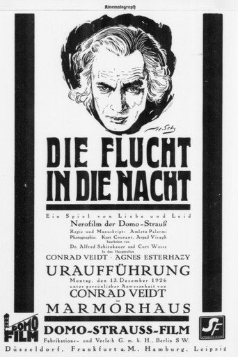 Movie poster for The Flight in the Night (1926)