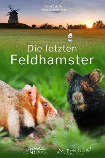 Movie poster for The Last Common Hamsters (2025)