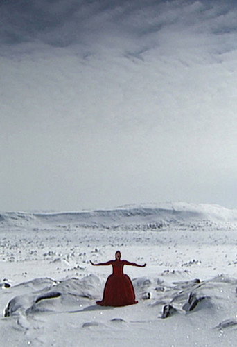 Movie poster for Invisible (2007)