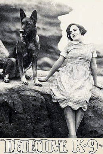 Movie poster for Detective K-9 (1926)
