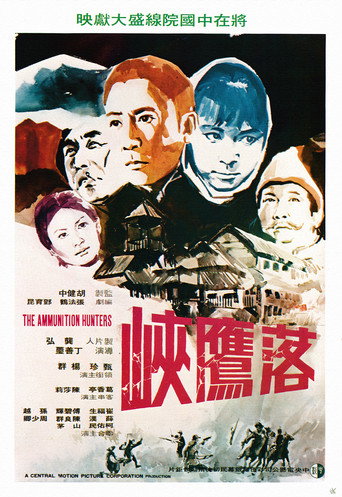 Movie poster for The Ammunition Hunter (1971)