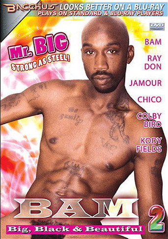 Movie poster for Bam: Big, Black & Beautiful 2 (2008)