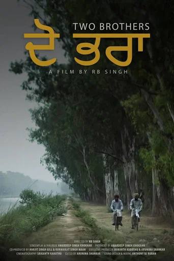 Movie poster for Two Brothers: Dō bharā (2018)