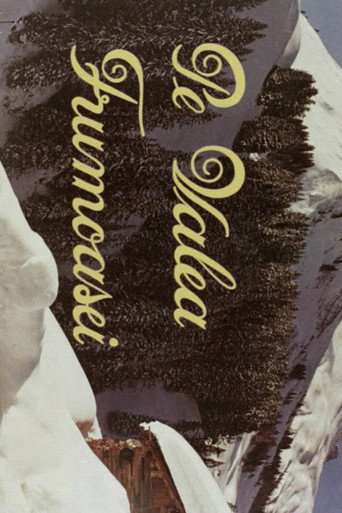 Movie poster for Along the Frumoasa Valley (1981)