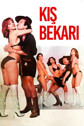 Kış Bekarı poster
