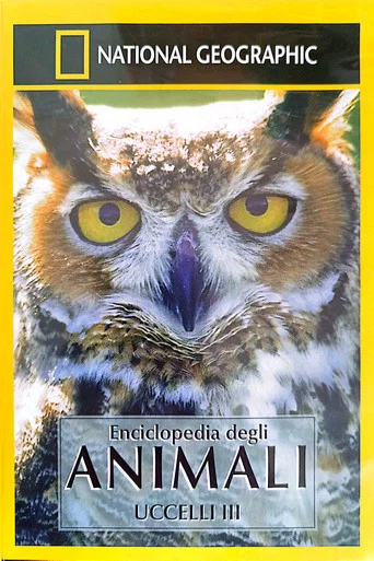 Movie poster for Owls: Silent Hunters (2001)