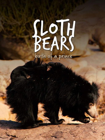 Movie poster for Sloth Bears: Birth of a Prince (2020)