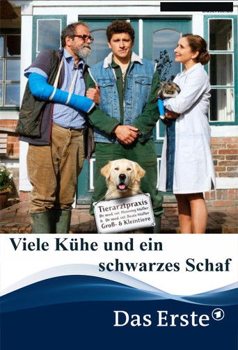 Viele Kühe und ein schwarzes Schaf poster