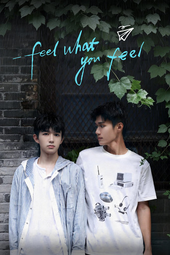 Feel What You Feel poster