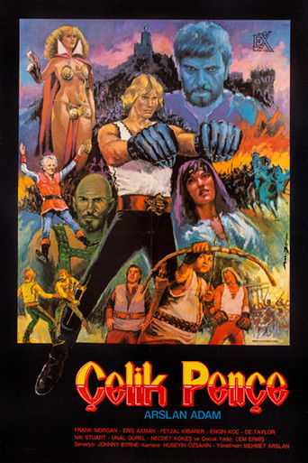 Çelik Pençe poster