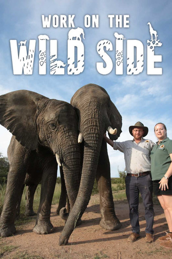 Series poster for Work on the Wild Side (2020)