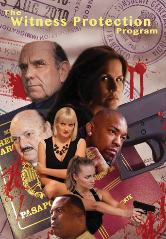 Movie poster for The Witness Protection Program (2016)